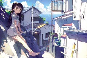 高清生态蜘蛛池，探索自然之美瞬间捕捉